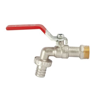 Valvola d'ottone della valvola dell'OEM OBM