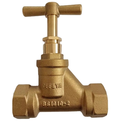 Una valvola non di ritorno inossidabile della valvola di ritenuta dell'acqua di modo 32mm 22mm
