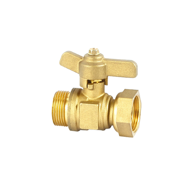 Una valvola non di ritorno inossidabile della valvola di ritenuta dell'acqua di modo 32mm 22mm