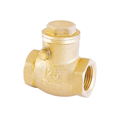 Una valvola non di ritorno inossidabile della valvola di ritenuta dell'acqua di modo 32mm 22mm