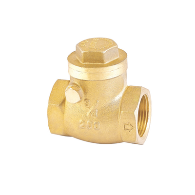 Una valvola non di ritorno inossidabile della valvola di ritenuta dell'acqua di modo 32mm 22mm