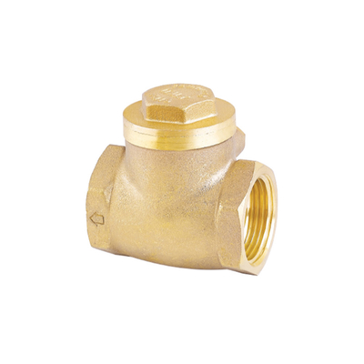 Una valvola non di ritorno inossidabile della valvola di ritenuta dell'acqua di modo 32mm 22mm